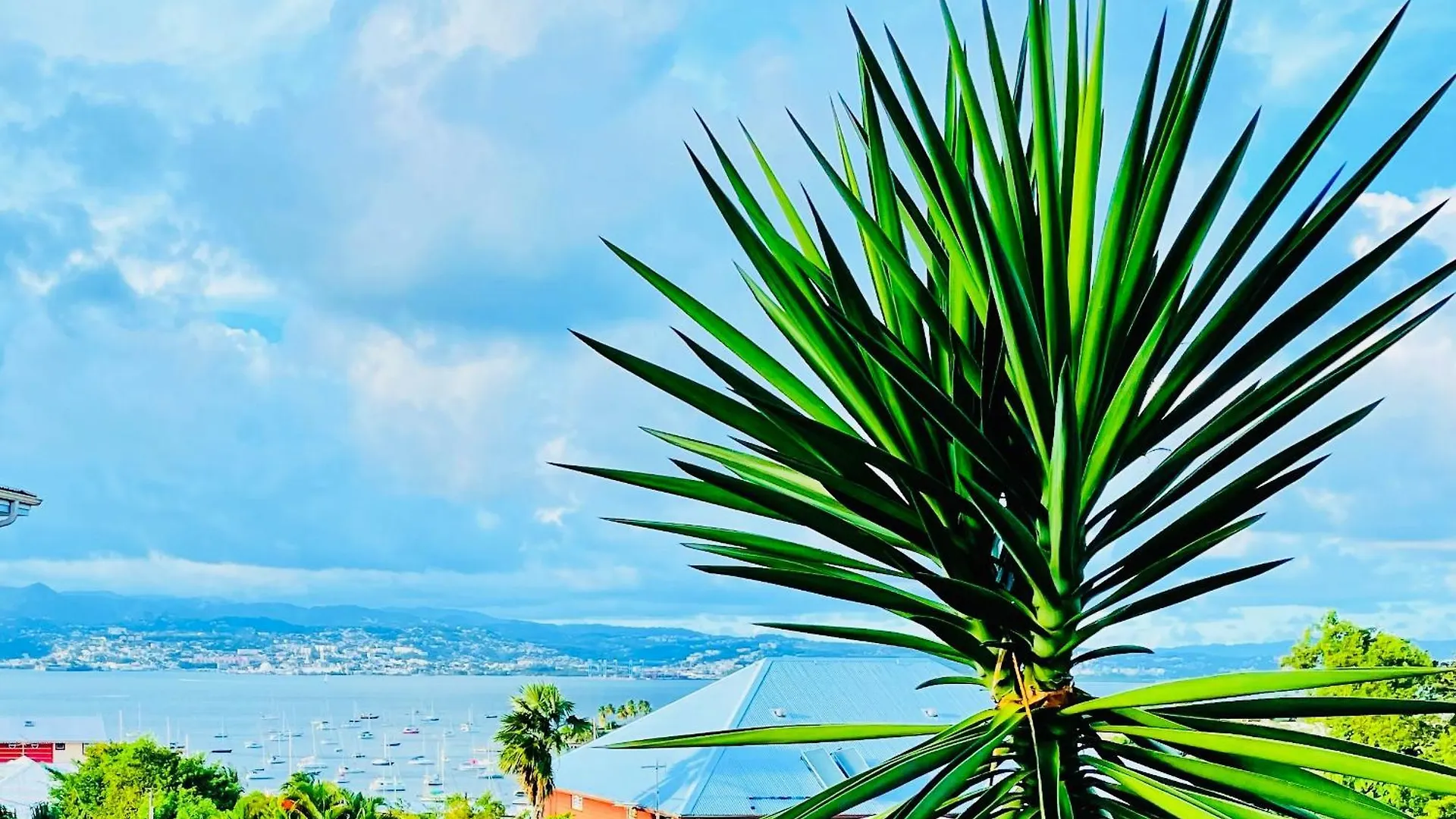 Sous Les Tropiques…Vue Mer location